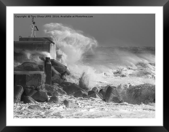 Under Attack! Framed Mounted Print by Tony Sharp LRPS CPAGB