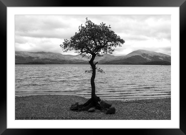 Tree in Loch Lomond Framed Mounted Print by Piers Thompson