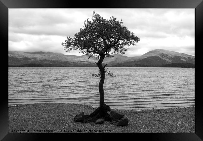Tree in Loch Lomond Framed Print by Piers Thompson