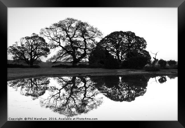 Silhouettes Framed Print by Phil Wareham