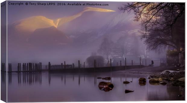 Derwent Water at Dawn Canvas Print by Tony Sharp LRPS CPAGB