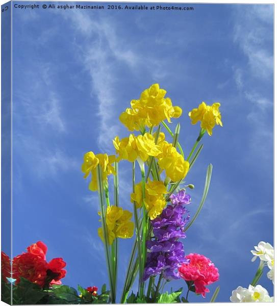 Nice flowers in the clody sky, Canvas Print by Ali asghar Mazinanian