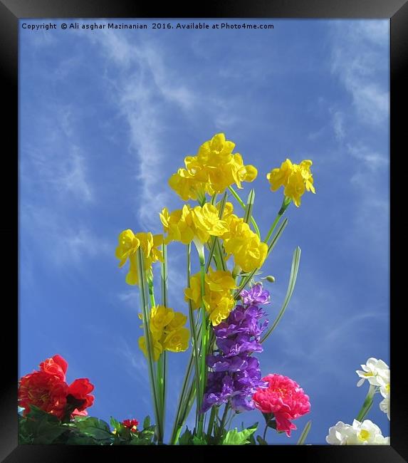 Nice flowers in the clody sky, Framed Print by Ali asghar Mazinanian