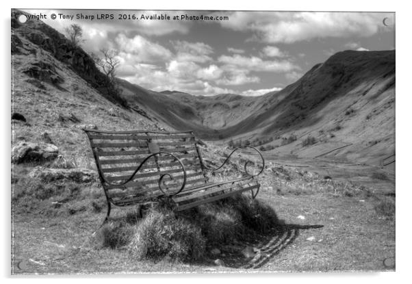 Welcome Resting Place - Martindale, Cumbria Acrylic by Tony Sharp LRPS CPAGB