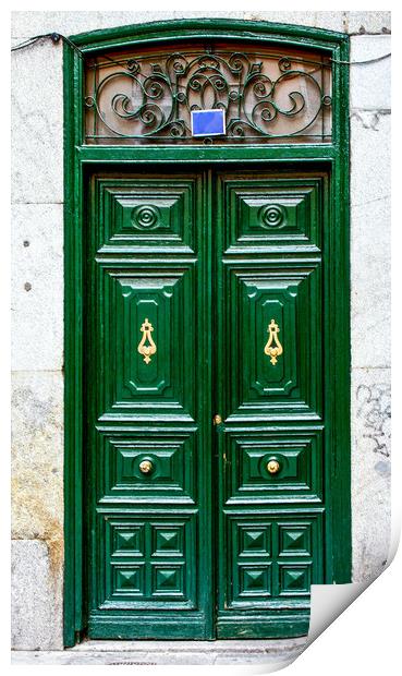 Green wooden door Print by Igor Krylov