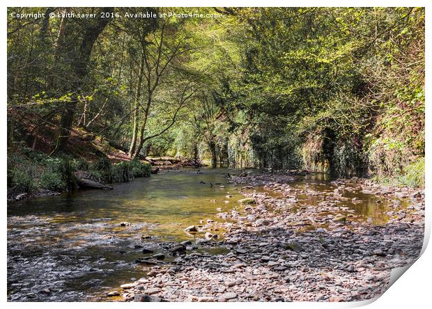 Saltburn Beck Print by keith sayer