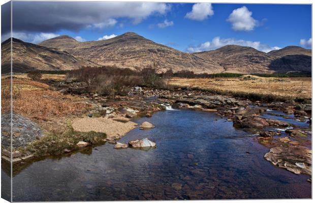 River in Glen More, Isle of Mull Canvas Print by Jacqi Elmslie