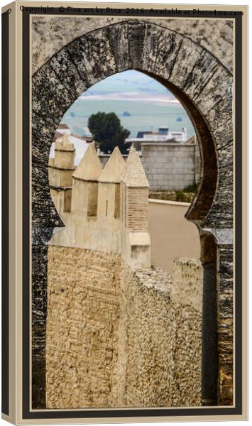Through the keyhole Canvas Print by Fine art by Rina