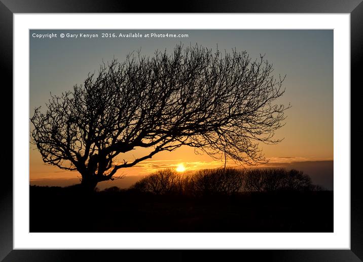 Sunset Silhoutte Tree Framed Mounted Print by Gary Kenyon