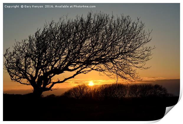 Sunset Silhoutte Tree Print by Gary Kenyon
