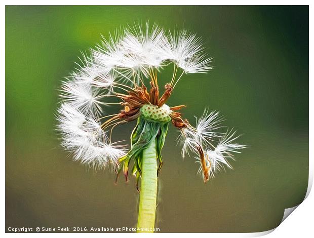 Leaving Home - Impressions Print by Susie Peek