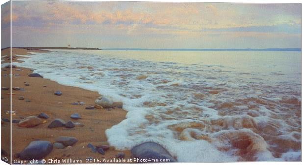 Spring Tide Canvas Print by Chris Williams