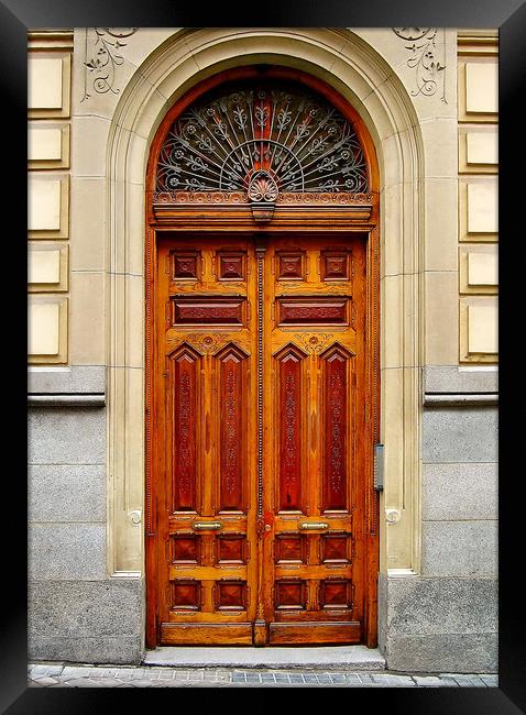 Wooden door  Framed Print by Igor Krylov