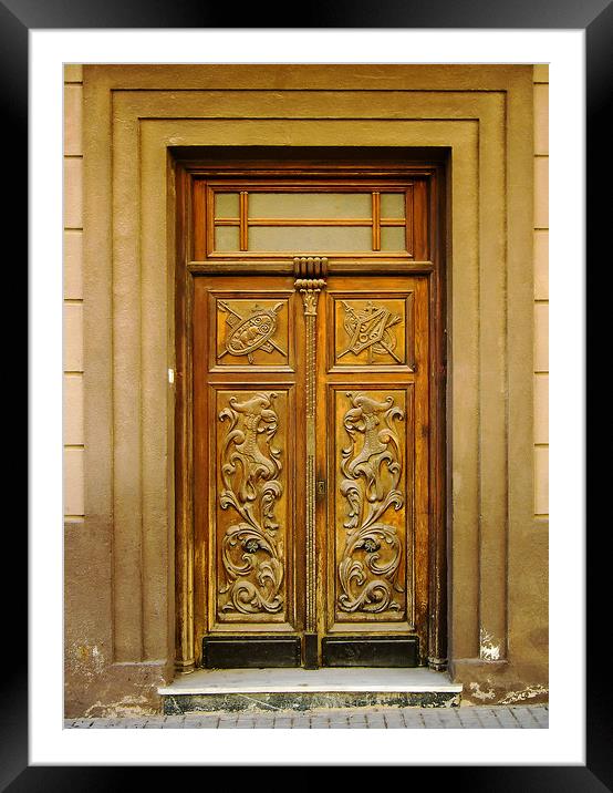 Spanish entrance door Framed Mounted Print by Igor Krylov