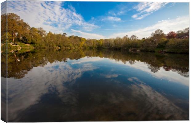 Magical reflections Canvas Print by Stephen Prosser