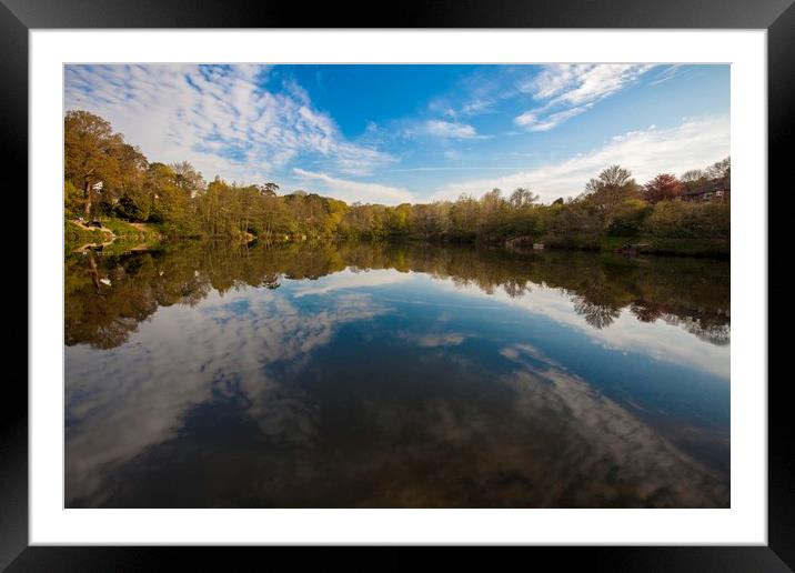 Magical reflections Framed Mounted Print by Stephen Prosser