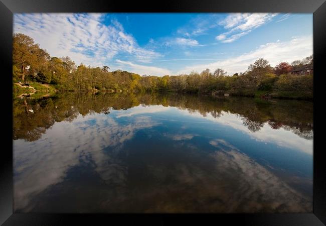 Magical reflections Framed Print by Stephen Prosser