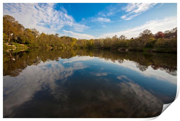 Magical reflections Print by Stephen Prosser