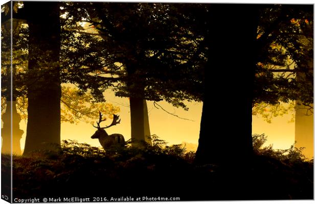 Stag in the mist, early morning Richmond Park Canvas Print by Mark McElligott