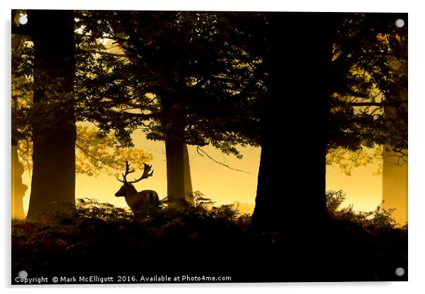 Stag in the mist, early morning Richmond Park Acrylic by Mark McElligott