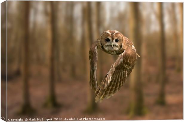 Tawny Owl On The Hunt Canvas Print by Mark McElligott
