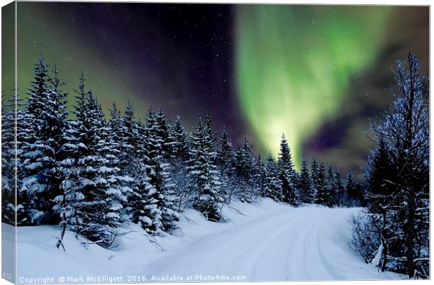 Northern Lights Norway Canvas Print by Mark McElligott