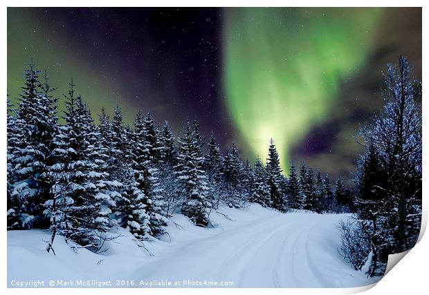 Northern Lights Norway Print by Mark McElligott
