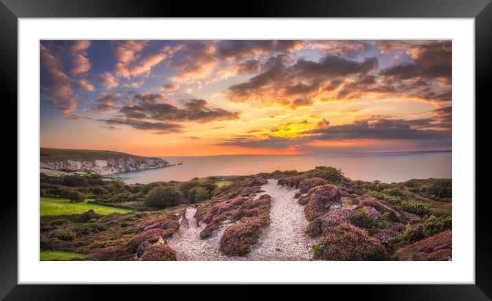 The Needles Sunset Panorama Framed Mounted Print by Wight Landscapes
