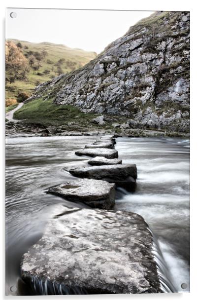 Stepping stones Acrylic by sean clifford