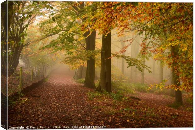 Woodland Pathway Canvas Print by Kerry Palmer