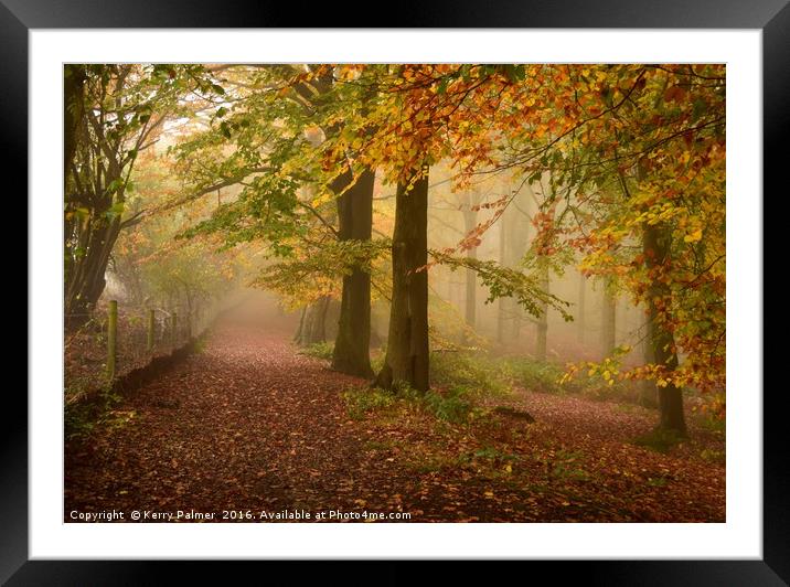 Woodland Pathway Framed Mounted Print by Kerry Palmer