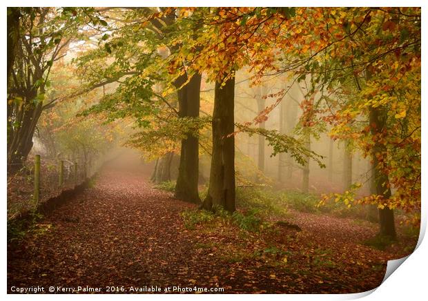 Woodland Pathway Print by Kerry Palmer