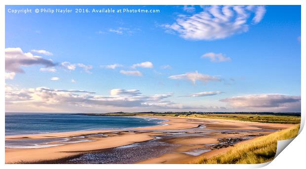 Beadnell Beauty............ Print by Naylor's Photography