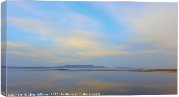 Calming Reflections Canvas Print by Chris Williams