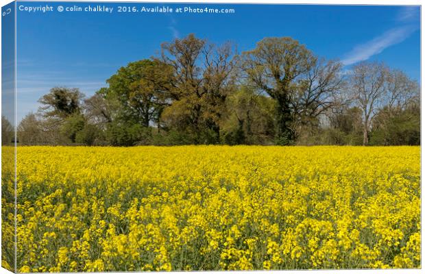 Oxfordshire Countryside Canvas Print by colin chalkley