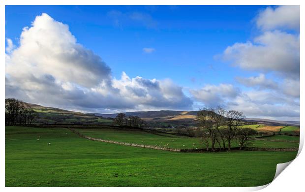 Yorkshire Dales  Print by chris smith