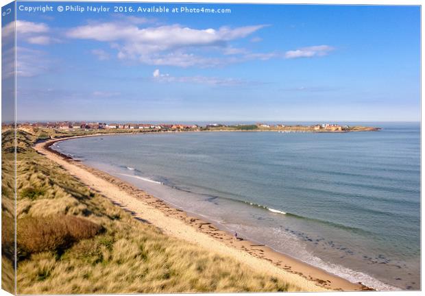 Pretty Beadnell Bay............. Canvas Print by Naylor's Photography