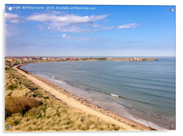 Pretty Beadnell Bay............. Acrylic by Naylor's Photography