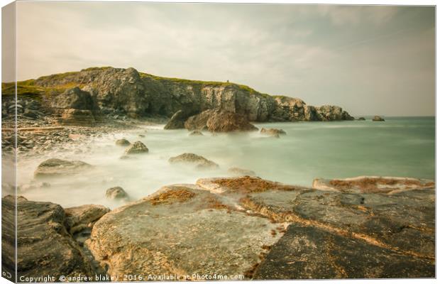 Trow rocks from Graham Sands Canvas Print by andrew blakey