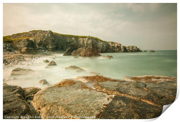 Trow rocks from Graham Sands Print by andrew blakey