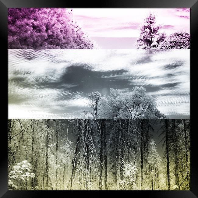 Infrared photography Framed Print by Jean-François Dupuis