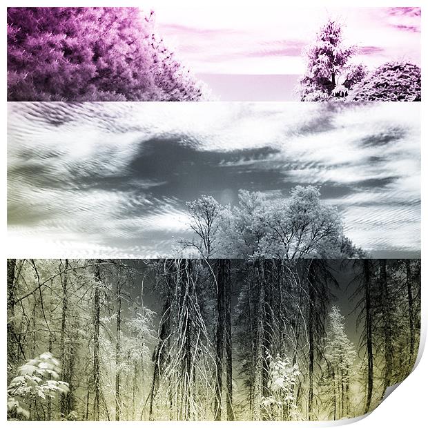Infrared photography Print by Jean-François Dupuis