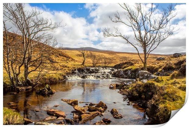 Moorland Falls Print by David Hare