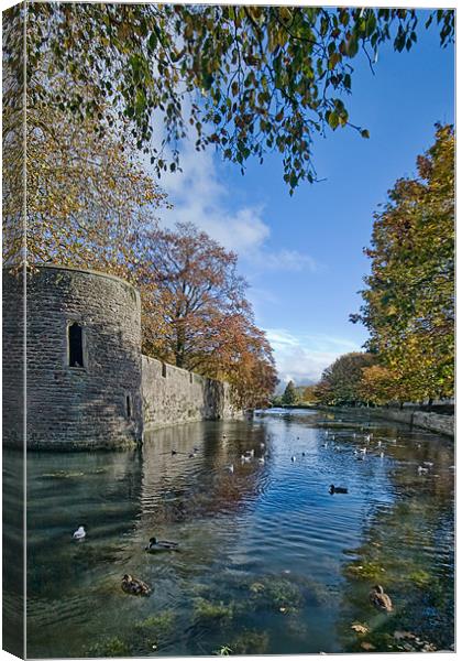 The Moat, Wells Cathedral Canvas Print by Ann Garrett