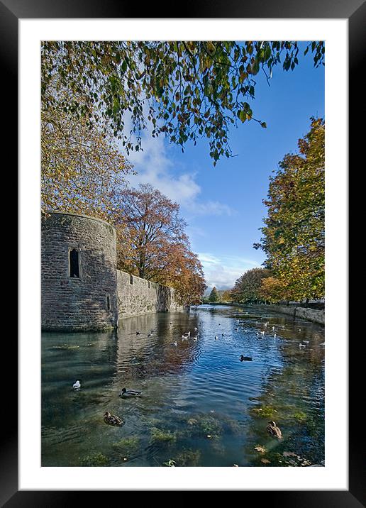 The Moat, Wells Cathedral Framed Mounted Print by Ann Garrett
