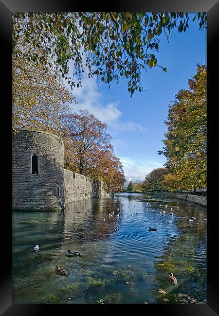 The Moat, Wells Cathedral Framed Print by Ann Garrett