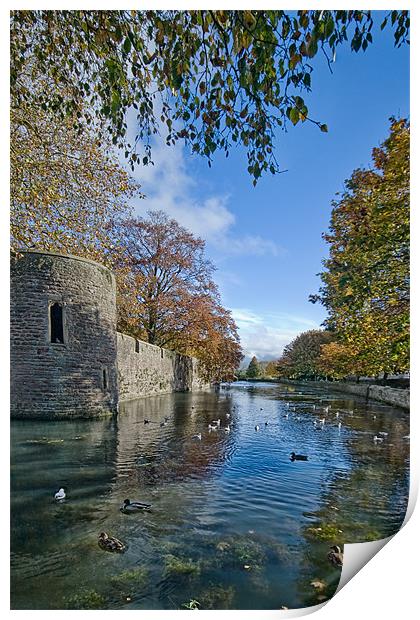 The Moat, Wells Cathedral Print by Ann Garrett