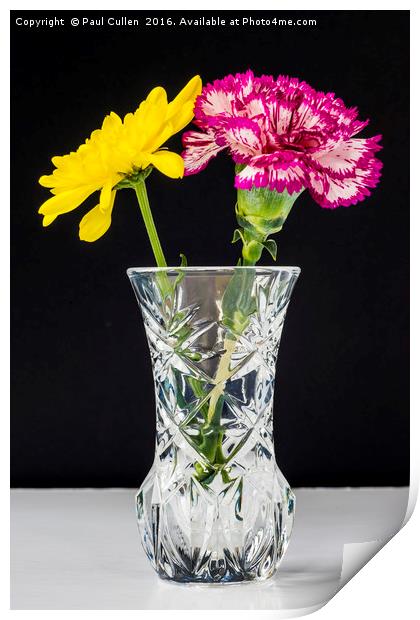 Chrysanthemums and Carnation in a lead crysal vase Print by Paul Cullen