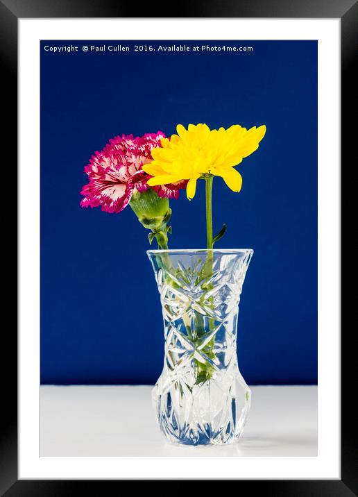 Chrysanthemums and Carnation in a lead crysal vase Framed Mounted Print by Paul Cullen