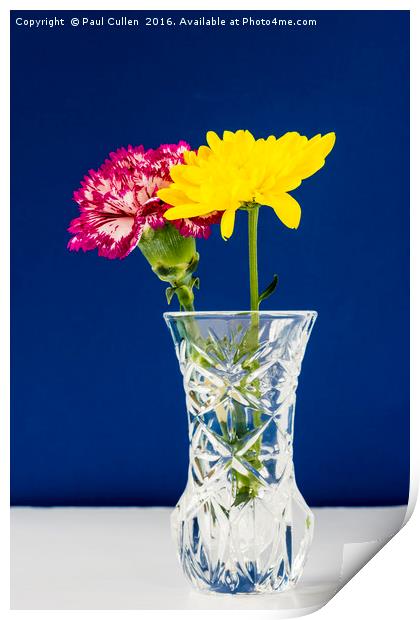 Chrysanthemums and Carnation in a lead crysal vase Print by Paul Cullen